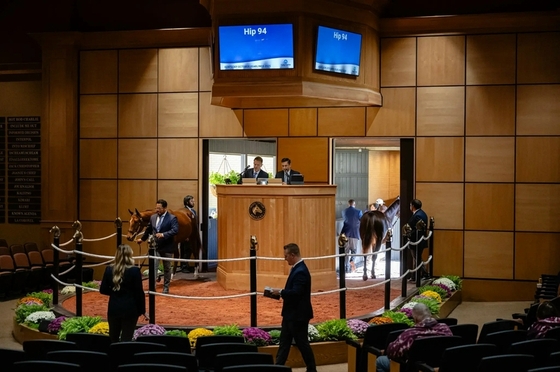 Как налоговая реформа Трампа влила миллиарды в мир скачек