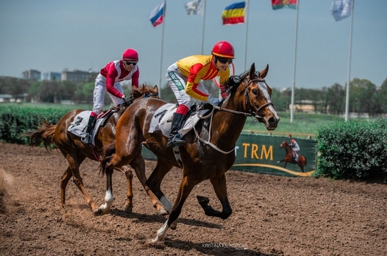 Суд арестовал имущество владельцев Ростовского ипподрома