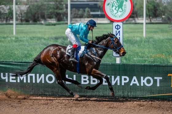 29 апреля суд решит судьбу Ростовского ипподрома