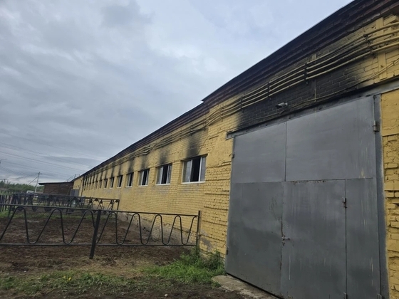 Ночной пожаре в КСТБ „Виера“: погибли 18 лошадей