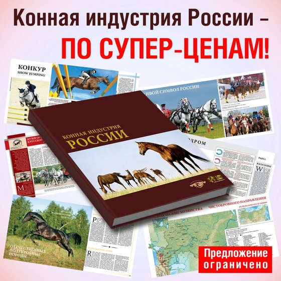 Конная индустрия России – по супер-ценам! (предложение ограничено)