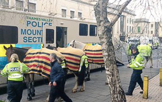Полицейские лошади получили травмы при несении службы на футбольном матче