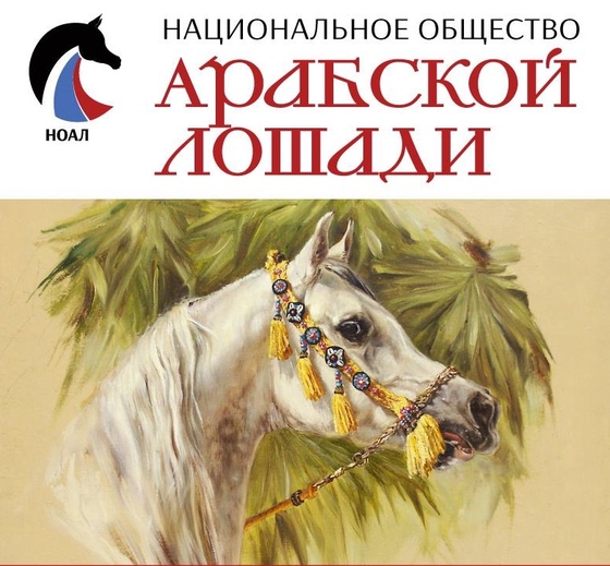 Собрание Национального Общества Арабской Лошади.