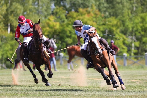 Поло: азарт и аристократизм