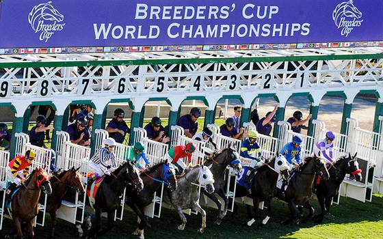 Breeders' Cup уже на этой неделе.