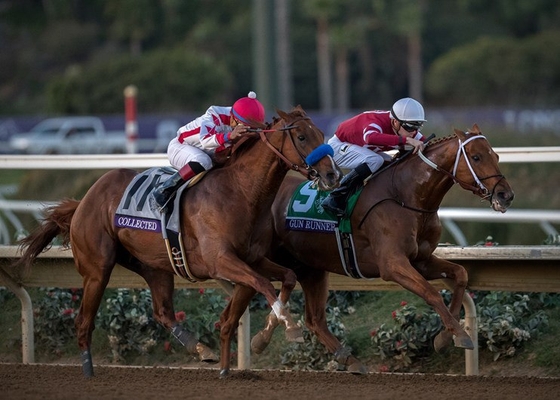 Ган Раннер – первый в Breeders’ Cup Classic.