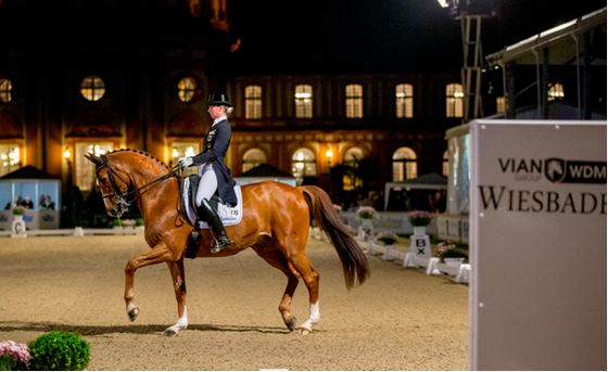 Организаторы турнира World Dressage Masters объявлены банкротами.
