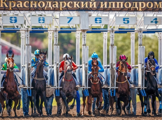 Краснодарский ипподром открыл скаковой сезон