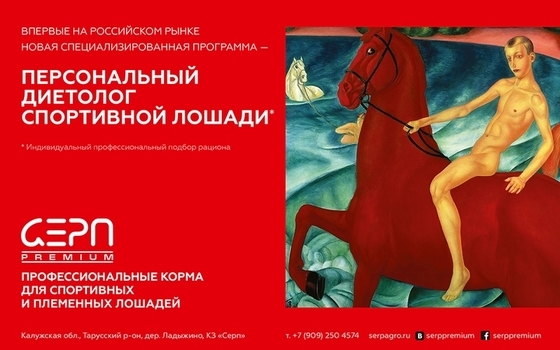 Персональный диетолог для спортивной лошади