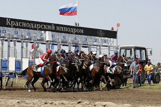 На Краснодарском ипподроме разыграют 6,5 миллионов рублей