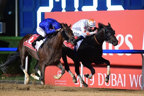 Dubai World Cup выиграл Tандер Сноу