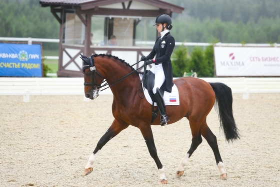 В Maxima Stables завершился Личный Чемпионат по выездке