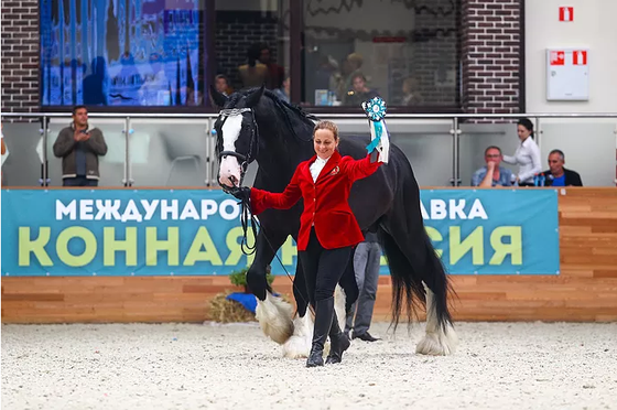 Сентябрь в Maxima Stables!