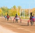 Рекорды и несчастья запасного ипподрома