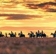 7 непридуманных пробежных историй