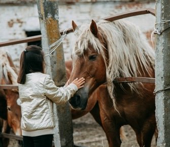 Починковский конный завод: как нижегородцы отстояли советских тяжеловозов от вывоза на убой