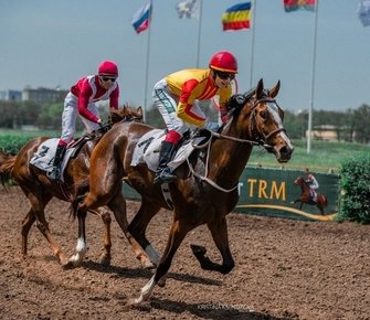 Генпрокуратура потребовала вернуть государству Ростовский ипподром