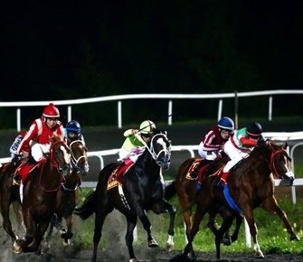 Большой конный праздник в Казани: скачки, бега и турниры сильнейших