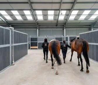 В Великобритании создали EQUISS для защиты людей в конной индустрии