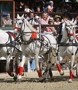 На МКЗ №1 пройдёт юбилейный V Чемпионат русских троек «Крылатое сердце России»