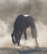 Иранское золото