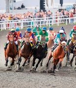 Странности и закономерности сезона–2025