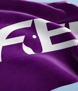 Только 4% сообщений о жестокости к лошадям доходят до расследования FEI