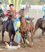 Традиции «Кок-бору» обернулись штрафом