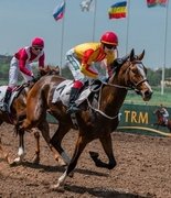 Суд арестовал имущество владельцев Ростовского ипподрома