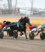 Завиваловский конный завод: 200 лет традиций на грани исчезновения?