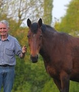 Ушёл из жизни Патрик Бланкарт — заводчик лошадей d’Auzay